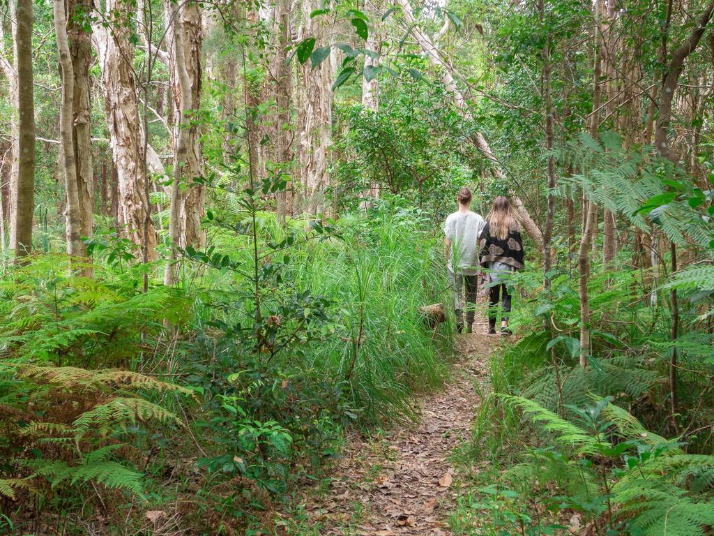 Abelia House Bed and Breakfast Byron Bay Eksteriør billede