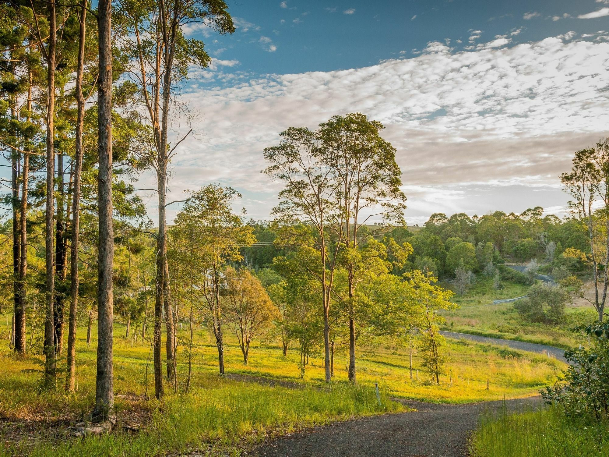 Abelia House Bed and Breakfast Byron Bay Eksteriør billede