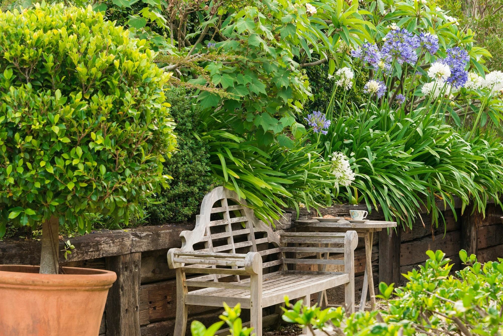 Abelia House Bed and Breakfast Byron Bay Eksteriør billede